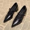 Premium  Mary Janes French Vintage Pointed Toe Pumps Chunky Heel Single Strap Shoes Buckle Decor