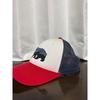 Used Patagonia Fitz Roy Bear Cap STY38200 Mesh Red