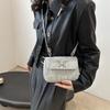 Niche design small bag women's 2025 new model, this year's popular aesthetic leisure autumn fashion simple messenger bag
