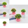 Starry Sky Artificial Flower Pot For Home Office Decor With Plastic Material And Wedding Use