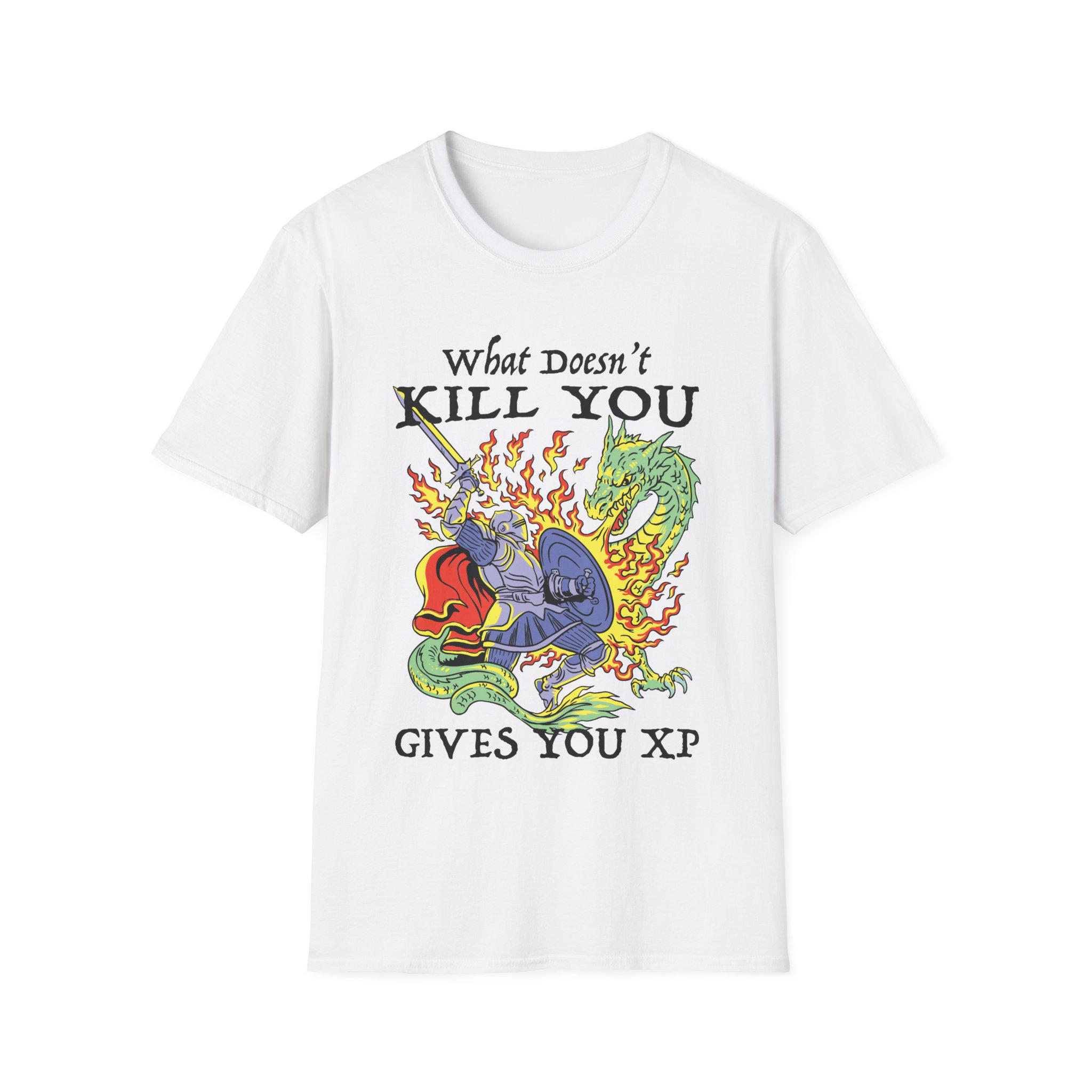 What Doesnt Kill You Gives You Experience Points Tshirt  An Interesting Dungeons  Dragons Tshirt S