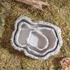 Easy Clean Climbing Pet Food Bowl Anti-slip Reptile Food Bowl  Gecko