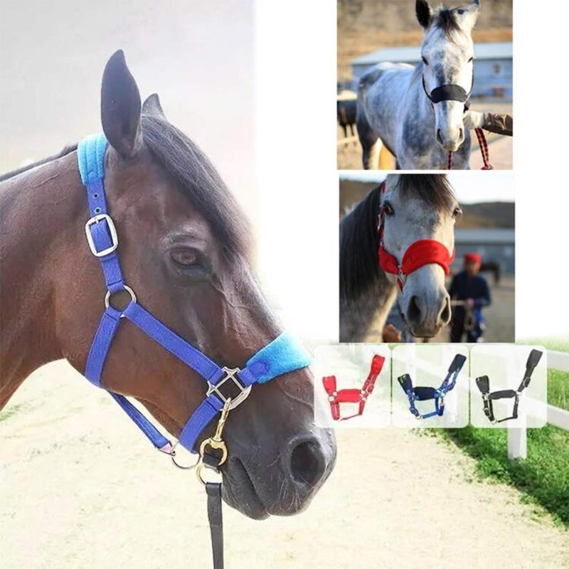 Durability Metal Eye Hook Horse Headgear For Secure Cycling And Training With Rustproofed Stable Bridle Hardware