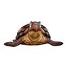 Super Saiyan, Infinite Q Edition, Childhood Wukong, Klin, Turtle Immortal Turtle, Ornament Model Boxed Figure