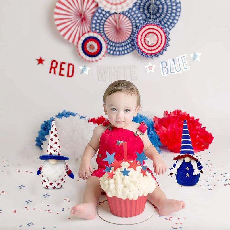 Veterans Day American Gnome President Election Decoration Gnome Couple