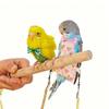 Anti-Bite Bird Harness Leash Adjustable Anti-flying Bird Training Rope Elastic Rope Lightweight Parrot Traction Rope