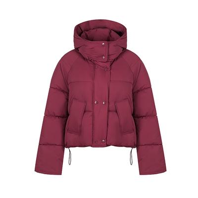 New Autumn and Winter Women's Cotton Coat, Cotton Jacket, Small Short Thickened Student Women's Bread Suit