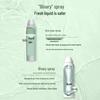 Hanhoo Tea Core Hydrating Facial Spray