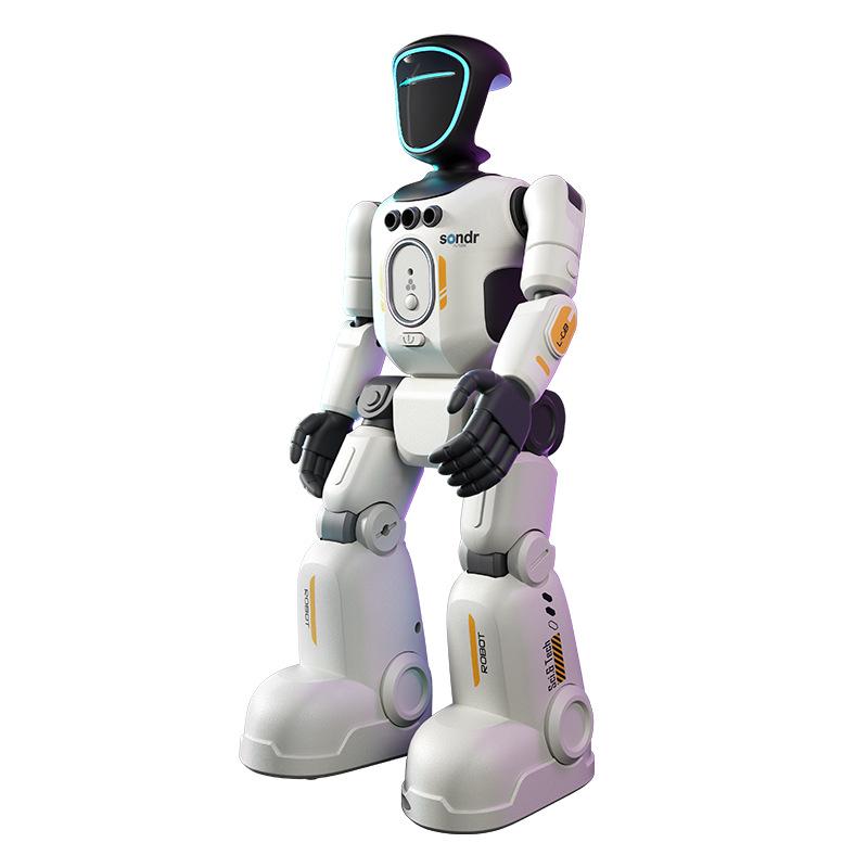 Russian Smart Humanoid Robot Toy with Gesture Control and Programmable Lighting