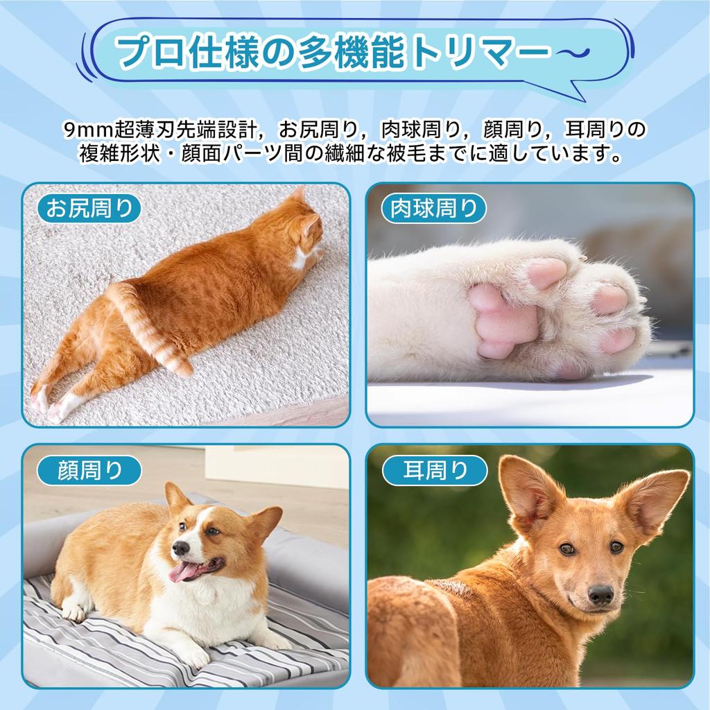 Dog Clippers for Cats and LED Fast Suitable for Small Safety Blade for Partial Paw Behind and Low Low and Includes Japanese White