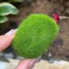 Garden Decorative Gravel Artificial Moss Rocks Fake Moss Stone  Landscape Design
