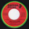 7inch Record PRINCE MALACHI  Jah Guide Dem RF013 Reggae Fever 2006 Switzerlan Reggae Ska  Dub Used