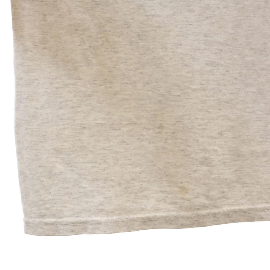 Hanes 90s Old Short sleeve T-shirt XXL Heavyweight Single Stitch Big Size Men's Used