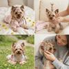 Colorful Dog Braiding Ties Anti-Oxidant Convenient Pet Hair Ties  Cat Fur Styling