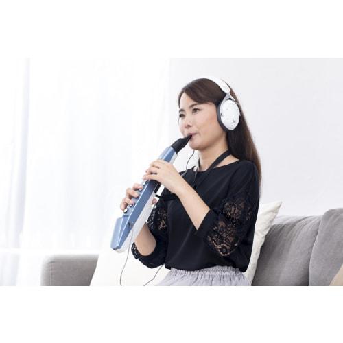 Roland AEROPHONE AE-01 Digital Wind Instrument with Recorder Fingering, App and Bluetooth Compatible