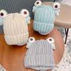 Unisex Baby & Kids Frog Plush Knit Hat: Warm Winter Wool Beanie