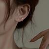 1Pair Exquisite Small Simple Diamond Stud Earrings Female Niche Daily Versatile Commuter Earrings Earbone Studs