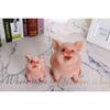Lovely Pig Money Banks Shatterproofs Animal Shape Piggy Banks,Coin Saving Boxes Gift for Birthday, Easters,Christmas