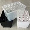 Indoor Herb Garden 15-hole System 15 Holes Plastic Construction Root Growth Monitoring Nutrient Level Monitoring