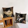 Portrait of the Palace Cat Cushion Cover Pillow Cover Decoration Room Home Sofa Living Office Car Nordic Simplicity
