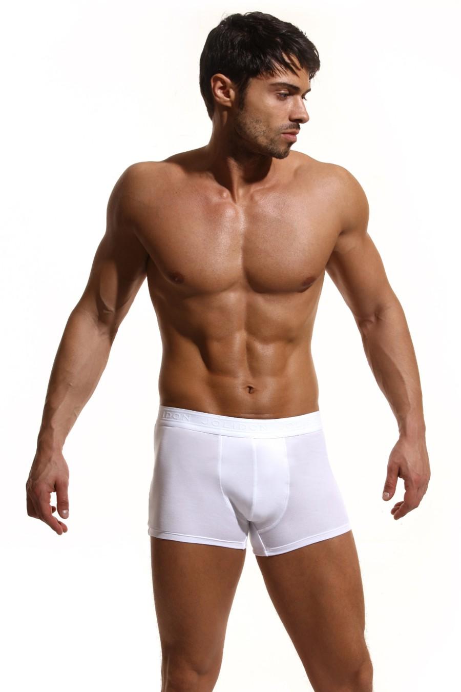 

Боксери труси Jolidon (76848) 54(2XL) французький небо синє кольору
