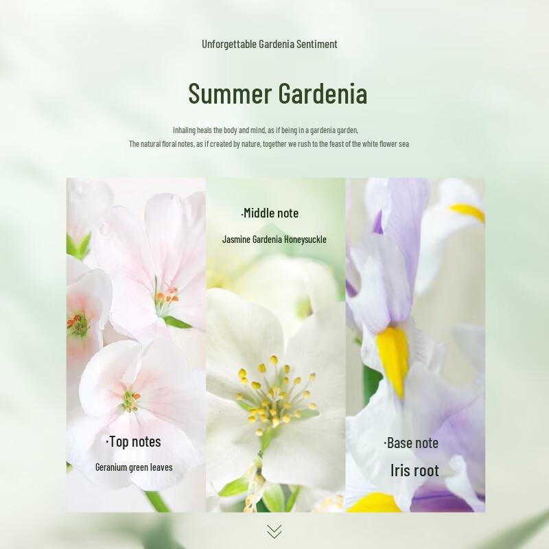 Magic Scent Gardenia Amino Acid Hair & Body Care Series