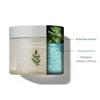 MISSHA Artemisia Calming Ampoule Pads 225ml | 50 Pads