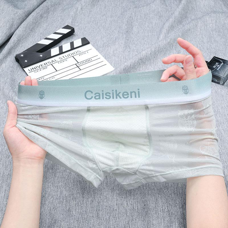 Men's 2025 Ice Silk Mesh Boxer Briefs - Transparent, Sexy, Thin Underwear