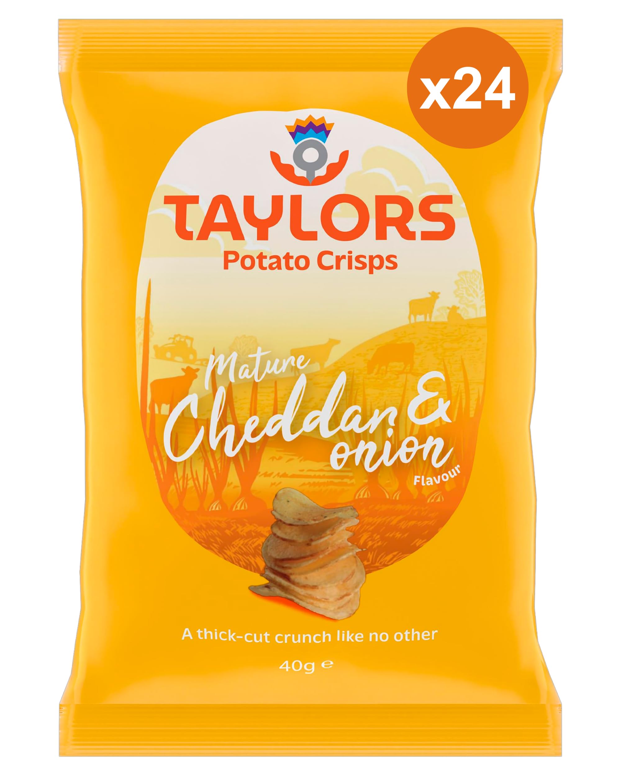 

Cheddar Onion 40g x 24 Taylor s & (case)