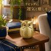 Hyack Owl Figurine, Lucky Charm, Feng Shui, Gold, Gift, Amulet, Talisman, Ornament (Gold) [Parallel Import]