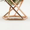 3Pcs Decorative Geometric Fern Plant Stand Metal Widely Use Air Plant Stand Holder Bar Decor