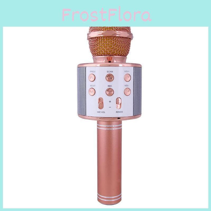 Microphone Wireless Bluetooth Handheld Ktv Mini Portable Speaker Player Usb