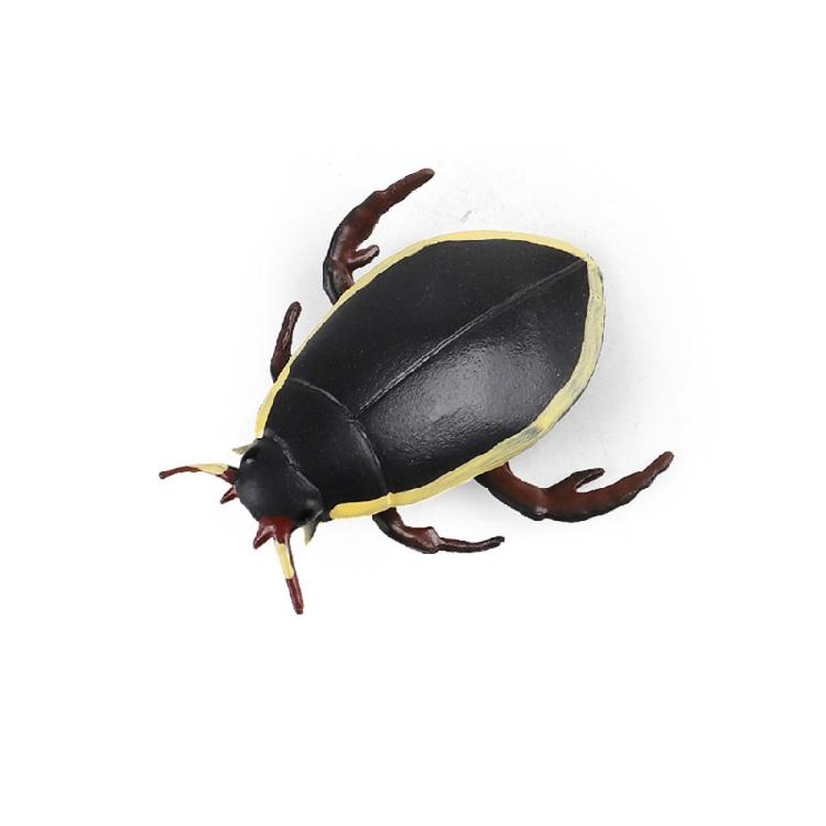 

Комахи Модель Комарів Колекція Іграшка Goliatus Настільні Прикраси