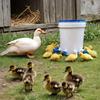 6 Stück, große blaue automatische Hühnertränke, geeignet für Enten, Gänse, Truthähne und Kaninchen – Trinkbrunnen-Set – Tränken für Kleintiere