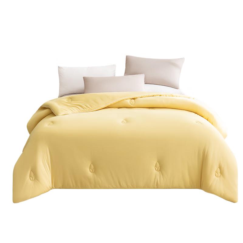 

Huixun JD Private Label Soft Corn Fiber Duvet 200x230cm