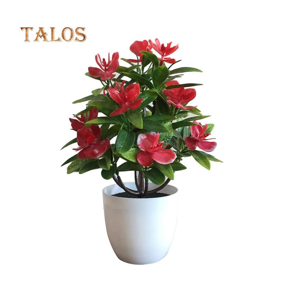 T-Garden Butterfly Orchid Flower Garden Διακόσμηση γάμου