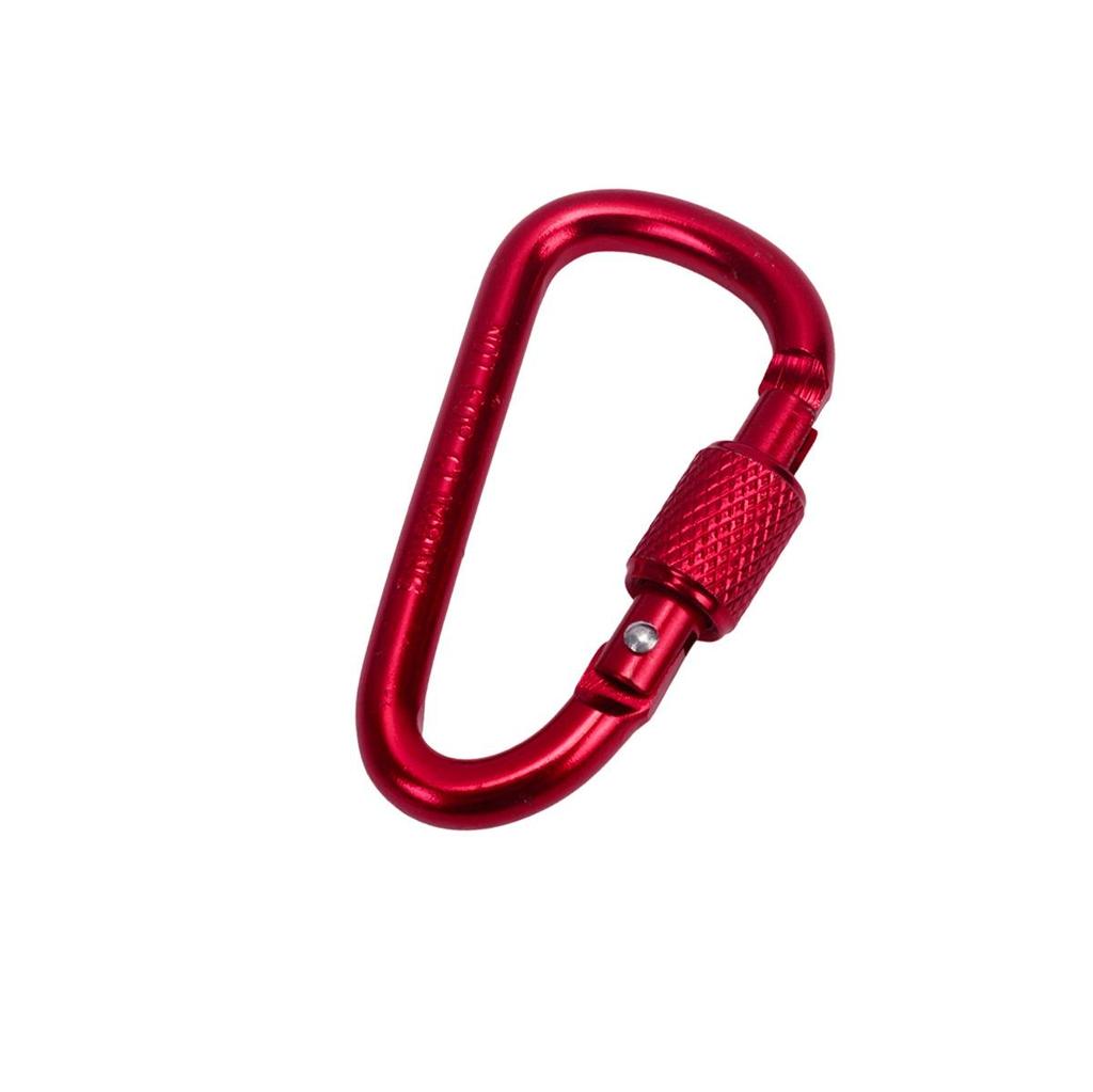 D-Shaped Locking Aluminum Carabiner No. 6 with Keyring for Backpack and Rope