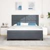 LED Boxspring Bed with Headboard Dark Grey 180 X 200 Cm Velvet
