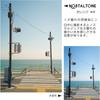 Kenko Soft Filter Nostal Tone Orange 72mm for Soft Effect and Color Enhancement, Made In Japan 006061