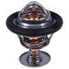 Thermostat 1A021-73012 16343-97010 Für Kubota V2203 V2403 V2003 D1503 D1703 D1803 L2800 L3130 L3200 L3240 L3400