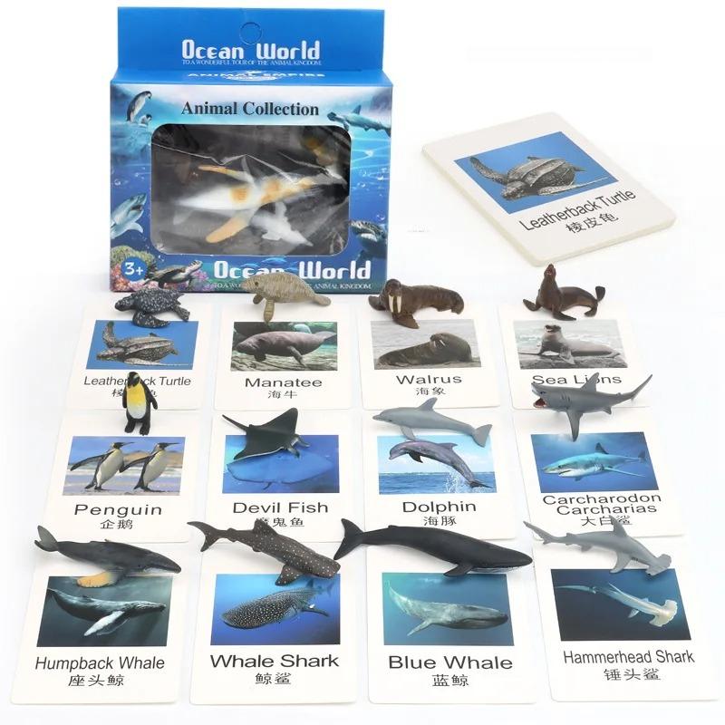 Cross-border Children s Early Education Toys 12 Animal Models Matching Learning Literacy Cards Children s Cognitive Materials