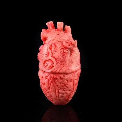 

Scary Halloween Corpse Prop Realistic Decoration for Haunted House Escape Room Horror Party Creepy Dead Body Spooky Event Decor