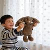 Plush Toys, Cute And Perfect Birthday Gifts For Friends And Classmates, Graduation Gifts