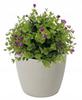 Taupe Plastic Pot 14 Cm Magnolia Jumper