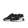 Nike Flex Train Black White Women Sneakers Anthracite HV9981-003