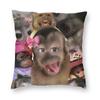 Funny Monkey Print Pillowcases  Kawaii Pillow Case For Living Room Sofa Graphic Pillow Cover
