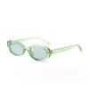 2025 new sunglasses Elliptical cat eye black sunglasses for women retro and trendy European and American bloggers,