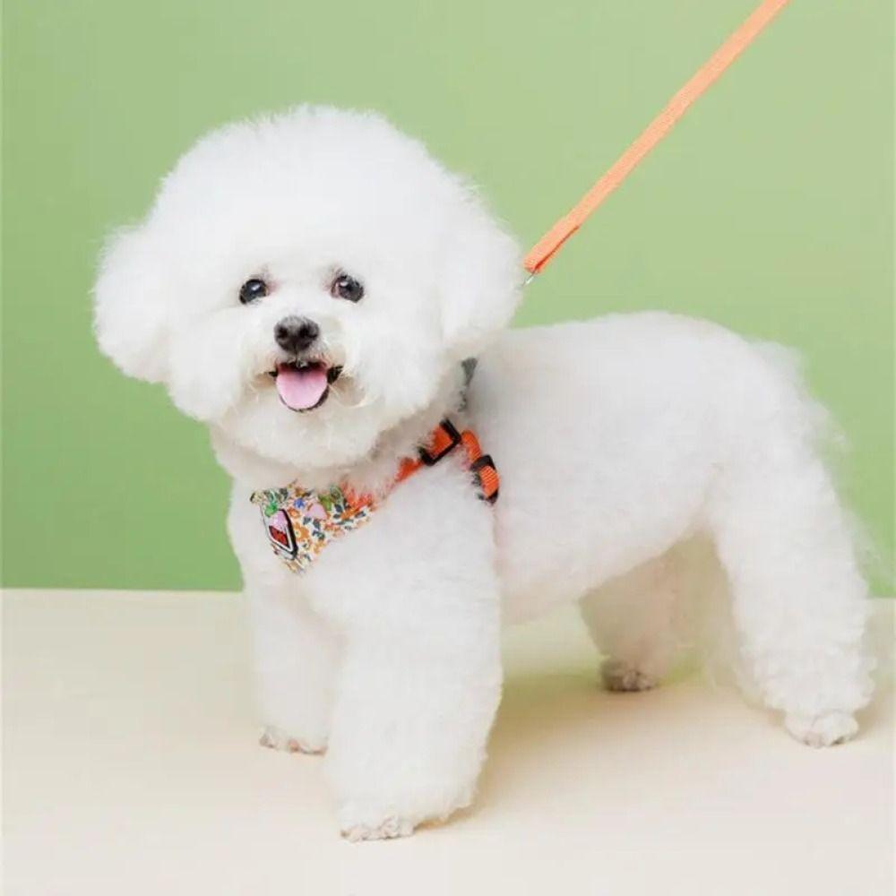 Reflective Dog Harness Leash Set Floral Pet Harness Vest Cat Chest Strap  Small Medium Dog Cat