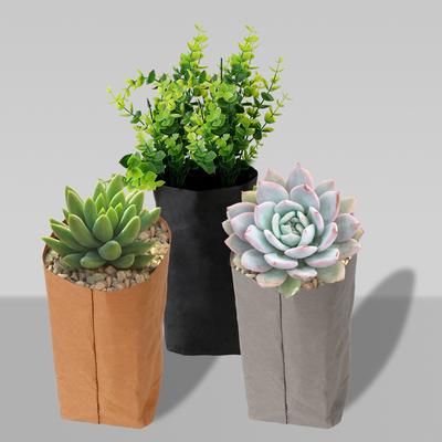 Creative Desktop Plant Bag Cosmetic Storage Bag Kraft Paper Flower Pot Reuseable