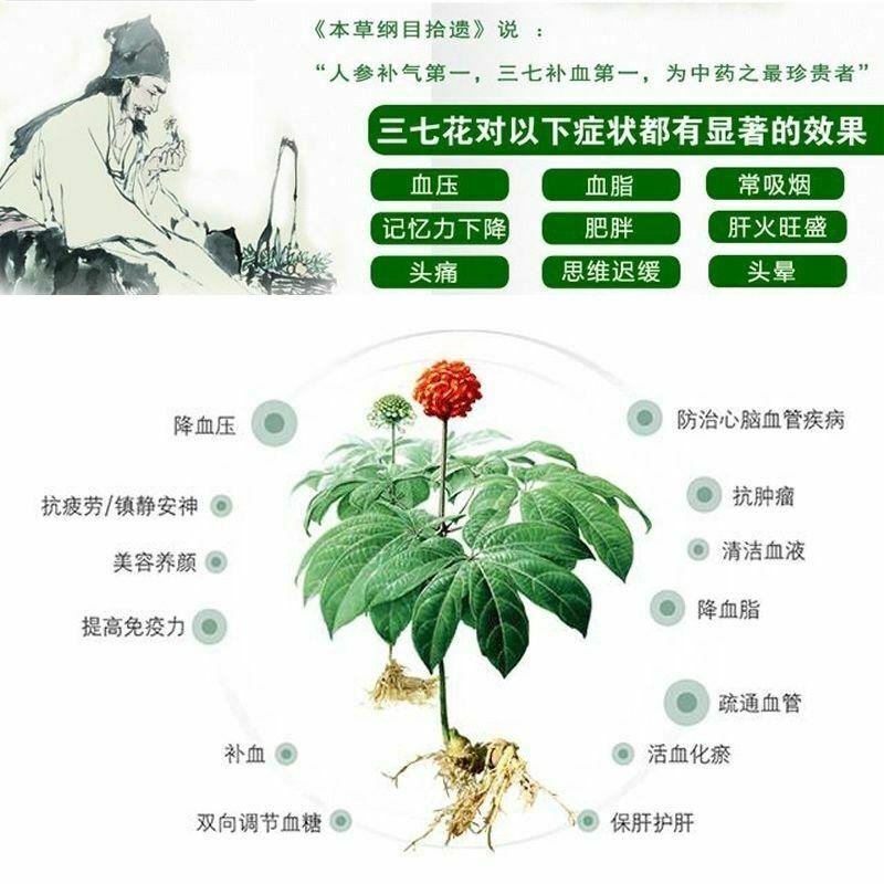 Tè alle erbe naturale di fiori di Notoginseng ecologico di prima qualità Tè alle erbe cinesi Sanqi 250g